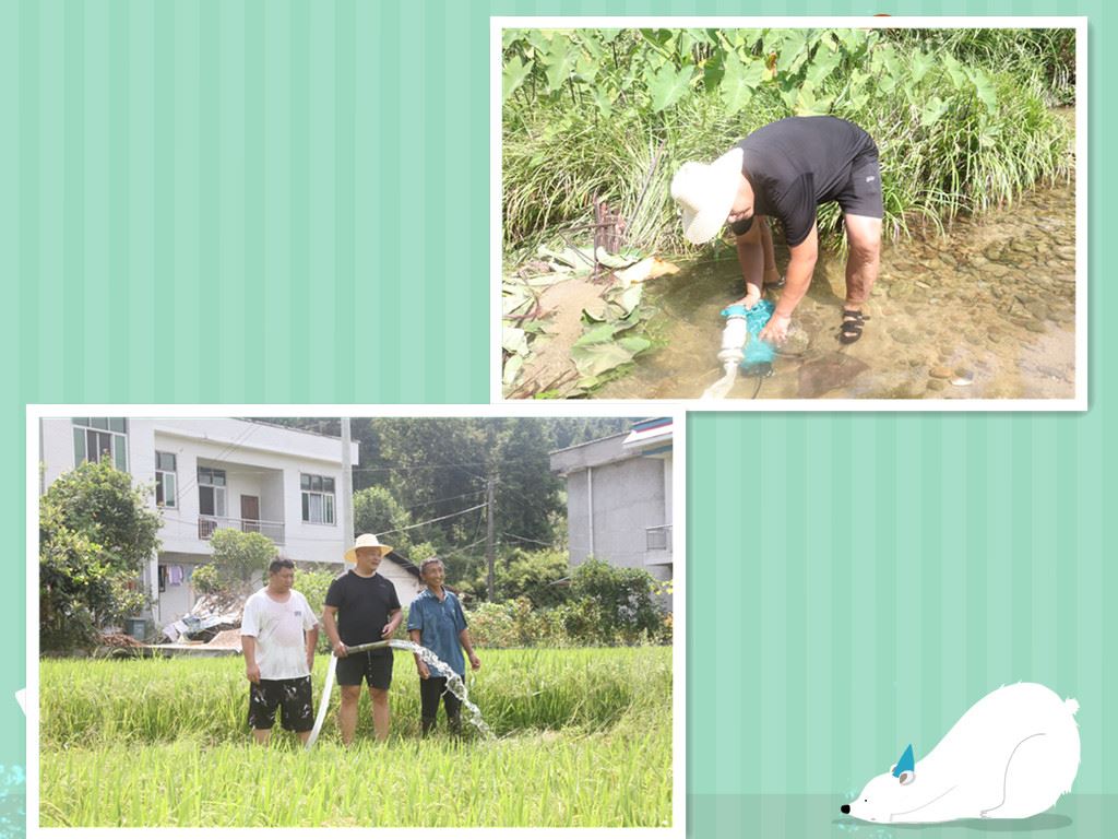 图二：驻村干部搬来石块稳住水泵_副本.jpg