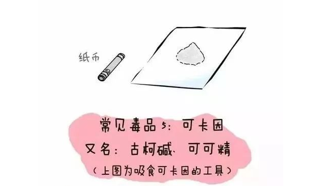 26_副本 - 副本.png