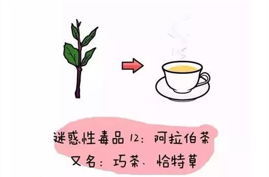 功能異常,抑鬱,幻覺常見偽裝:奶茶,咖啡,橙汁等內含的主要毒品:k粉